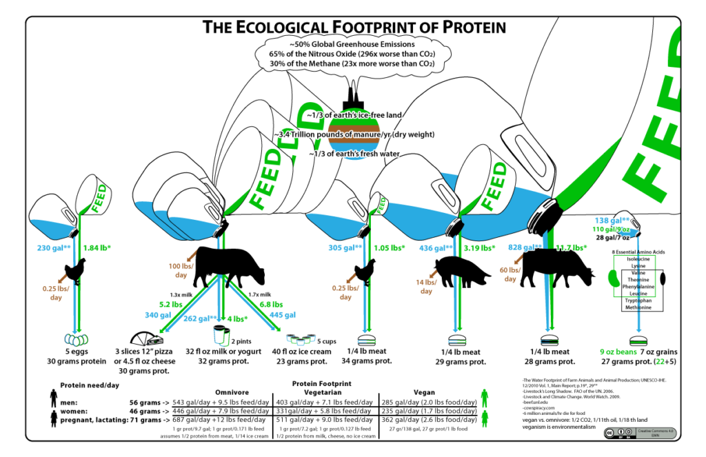 eco-footprint-of-carnism